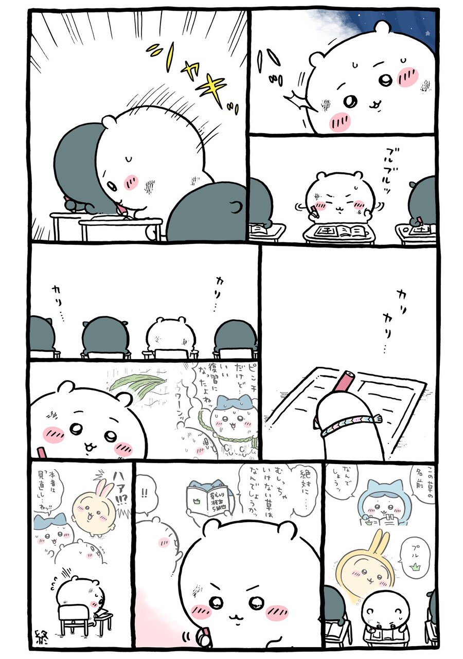 치이카와 드디어 성불하나_1.jpg