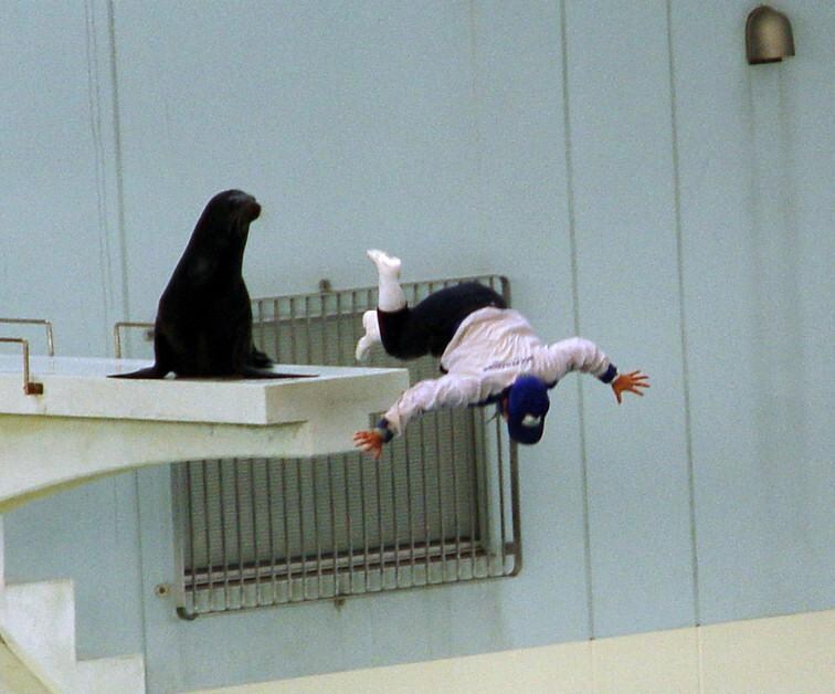 "자넨 좋은 조련사였네."_1.jpg
