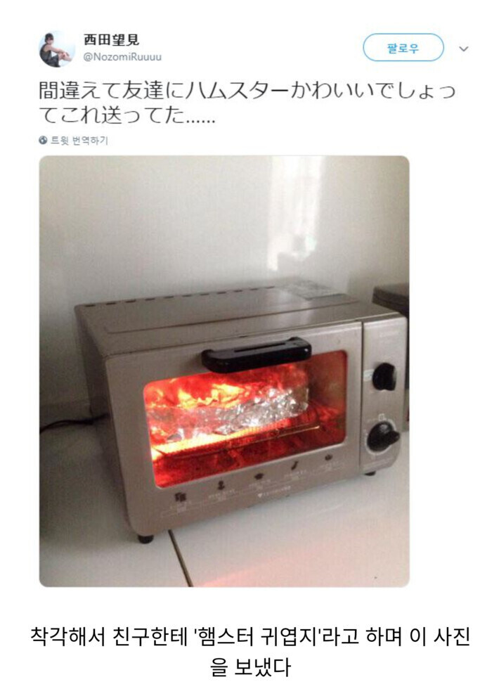 '햄스터 귀엽지'_1.jpg