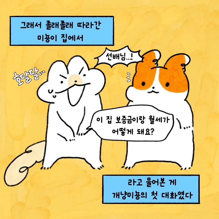 [냥뇽툰] 와이프가 CC하지 말라며 경고하는 만화.manhwa(1)_10.jpg