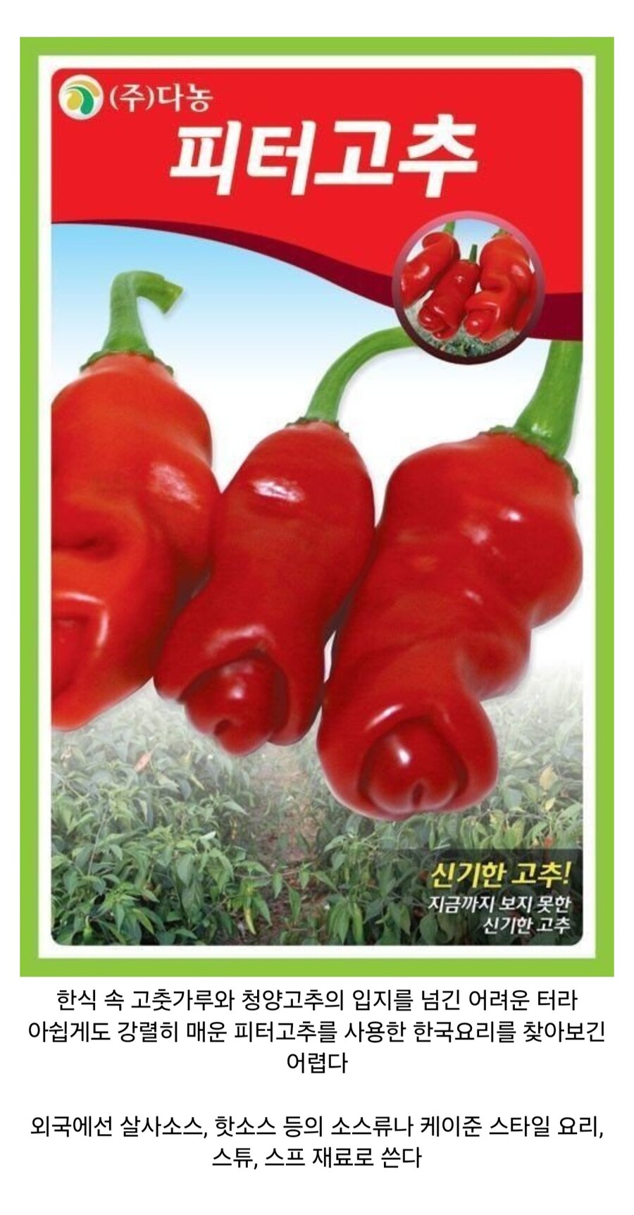 재미있고 신비한 열매들_2.jpg