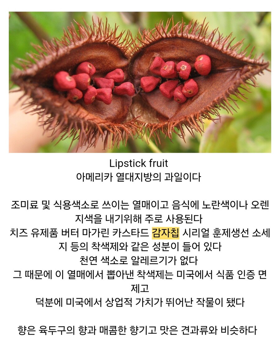 재미있고 신비한 열매들_18.jpg