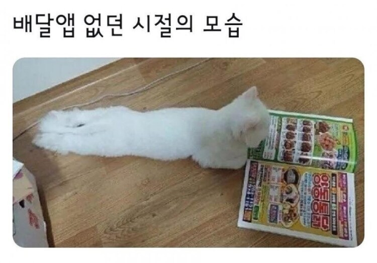 배달앱 없던 시절 모습의 진실_1.jpg