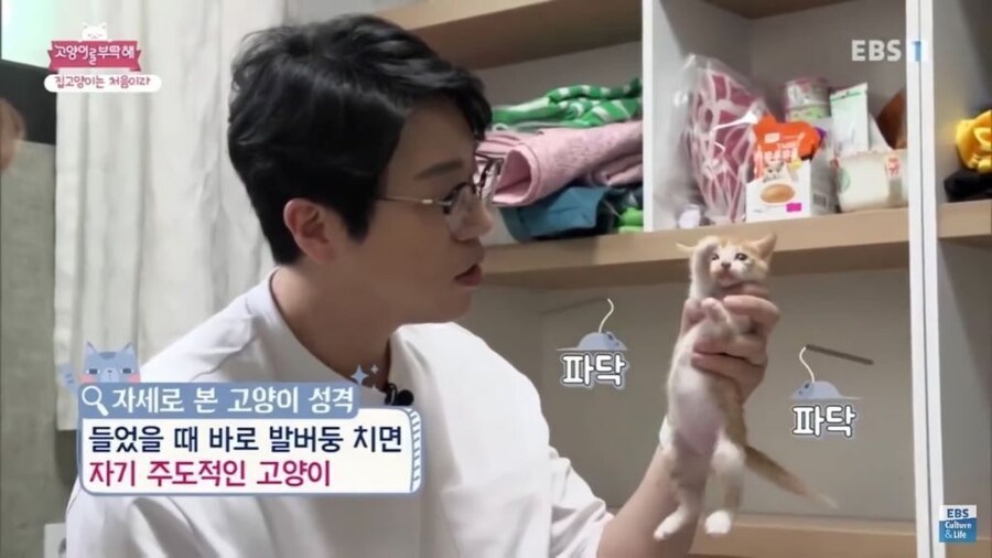 자기 주도적인 고양이._1.jpg