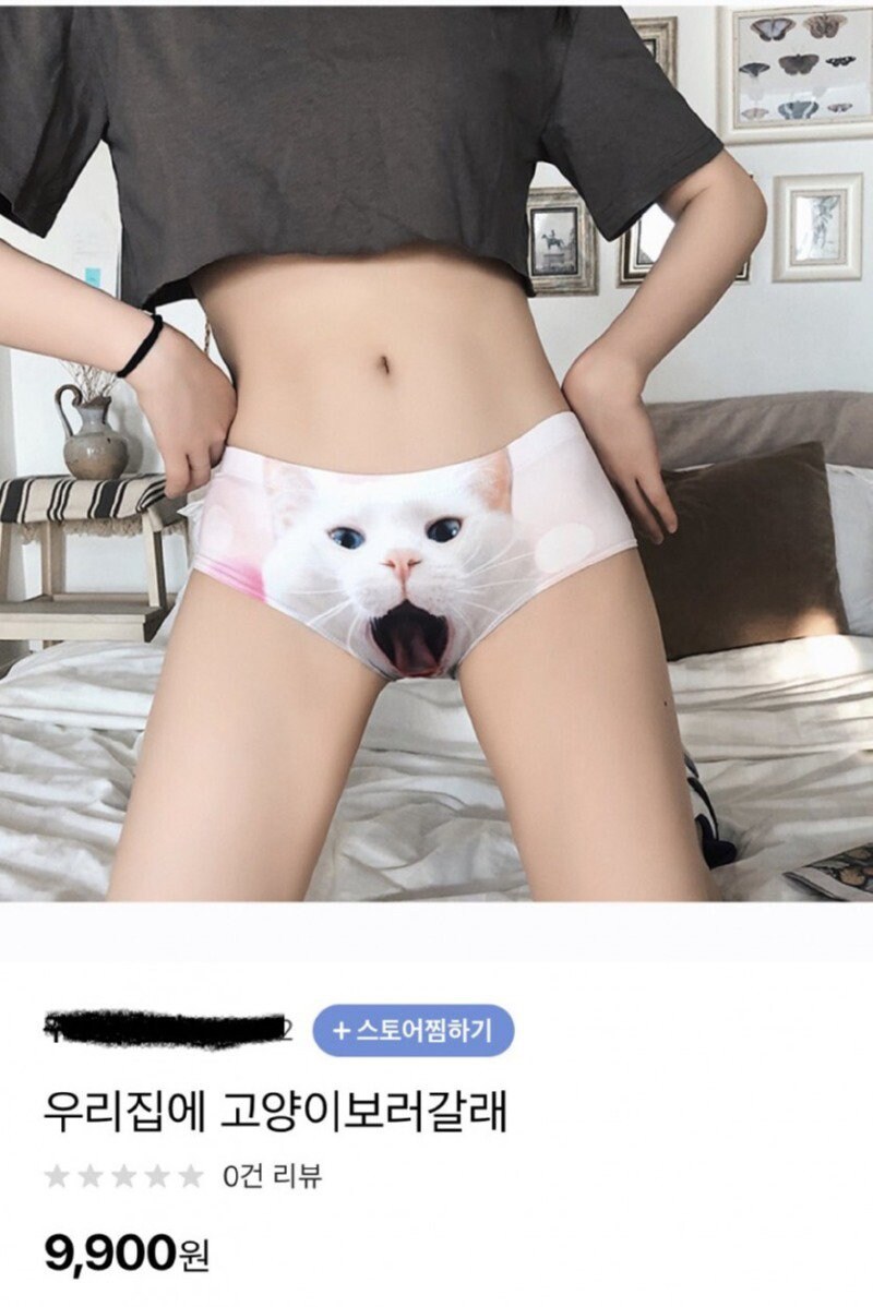 우리집에 고양이 보러 갈래?_1.jpg