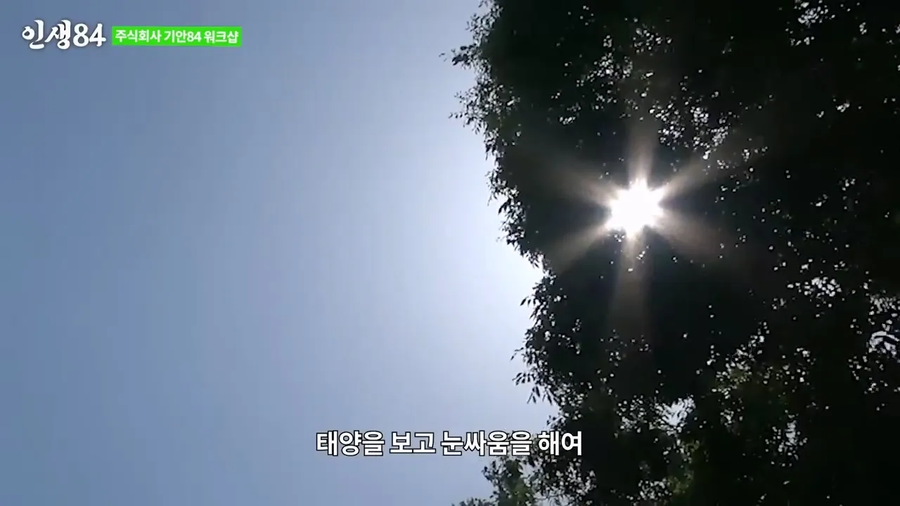 곰팡이 특 - 직사광선 아무 효과 없음_4.webp