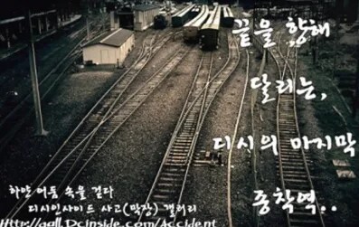 싱벙갤이 모르는 사람들을 위해 싱벙갤이 뭔지 맞춤 설명 해줌_2.png