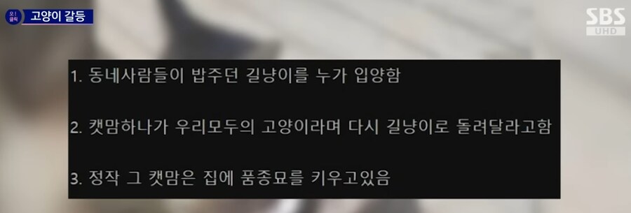 길고양이 입양했더니 욕먹은 사연.jpg_2.png
