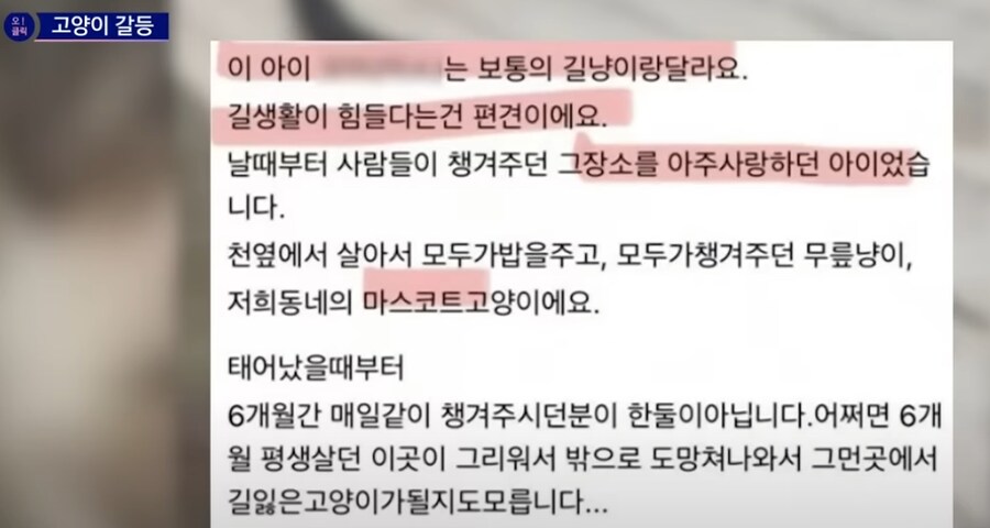 길고양이 입양했더니 욕먹은 사연.jpg_4.png