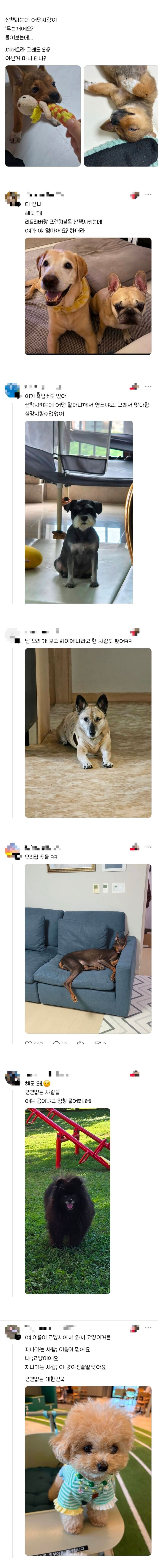 강아지에게 편견이 없는 사람들_1.jpg