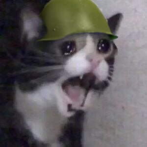 유리멘탈이면 커뮤니티 안하는게 낫겠더라_1.png