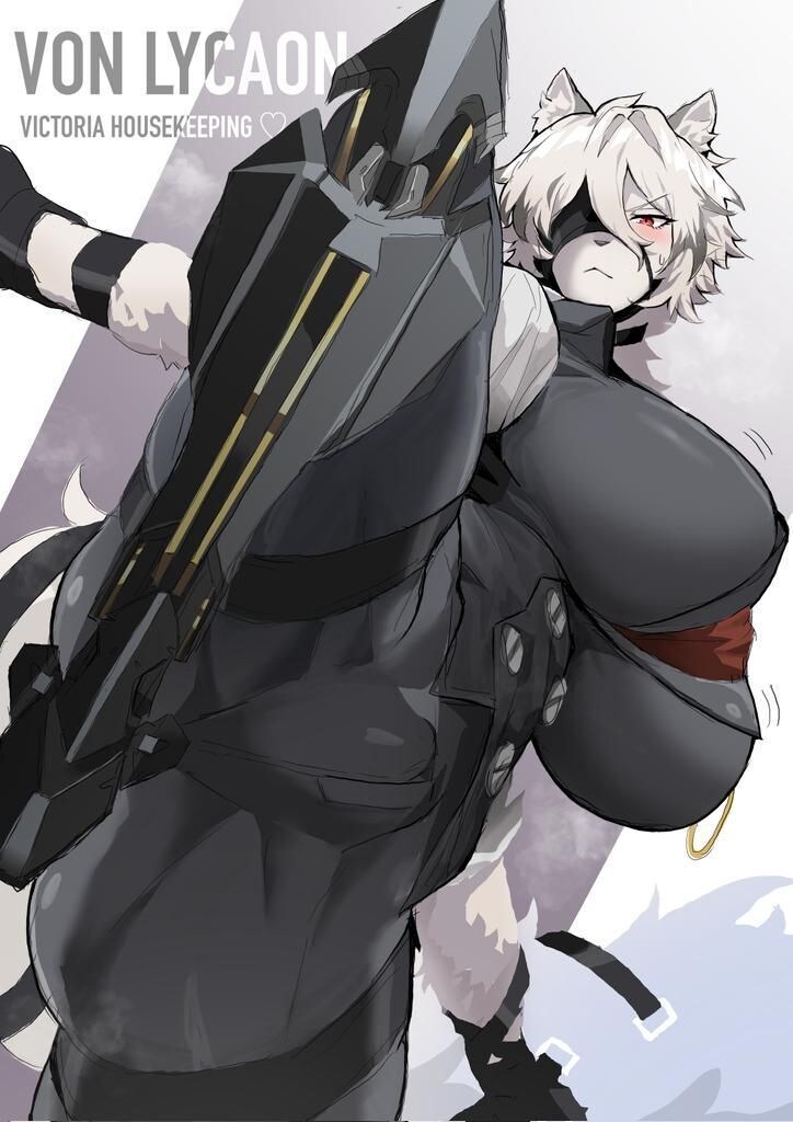 젠레스) 보잉 리카온_2.jpg