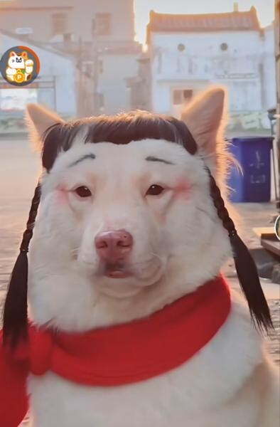 귀여운 동물짤 올림 베스트 감?_1.jpg