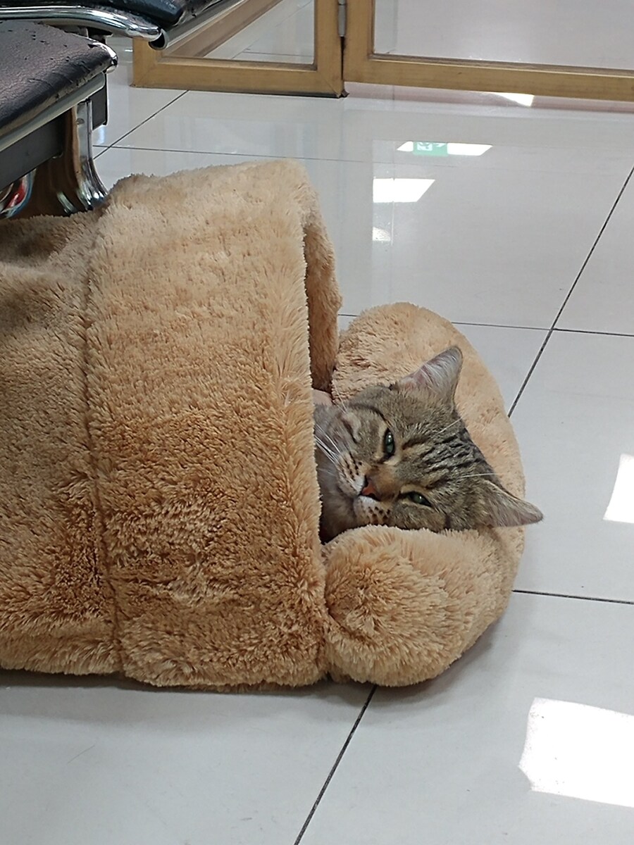 현시간 방구석 근황_3.jpg