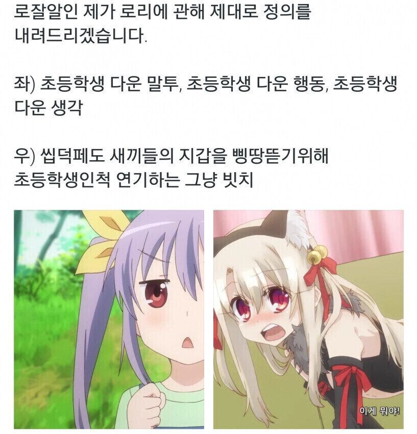 페도필리아가 강의하는 진짜 로리vs가짜 로리_1.jpg