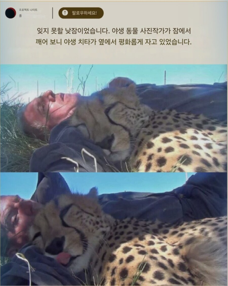 잊지 못할 낮잠_2.jpg