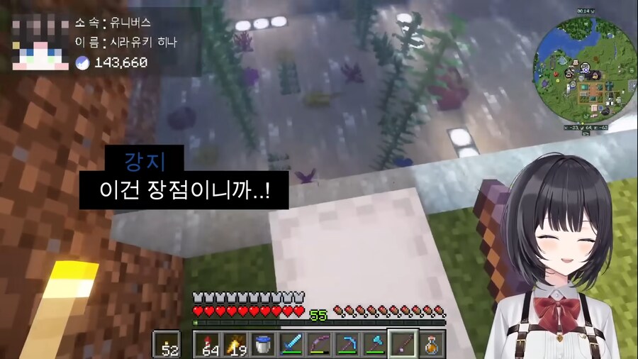 버튜버)