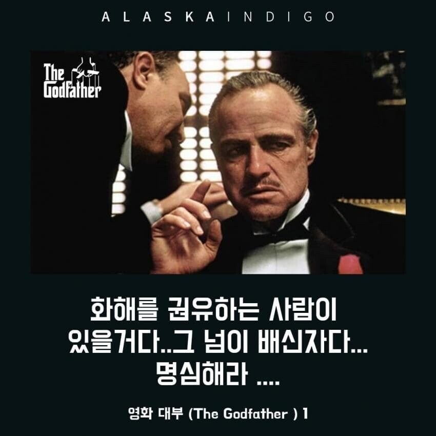 인터넷에서 크게 터질떄 마다 내가 보는 짤_1.jpg