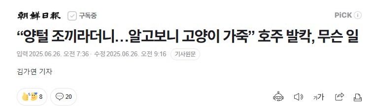 어그부츠로 유명한 UGG 고양이 가죽 사용 논란_1.png