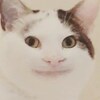 여자만 클릭_1.png