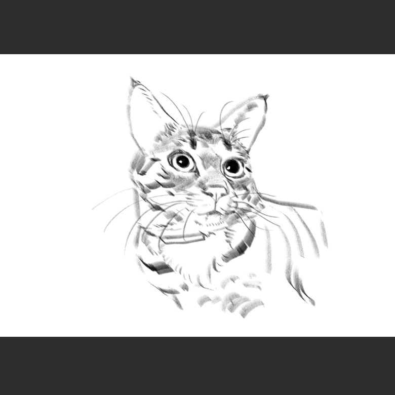 고양이) 우리집 고양이그림 보고가셈_1.png