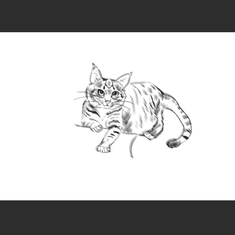 고양이) 우리집 고양이그림 보고가셈_4.png