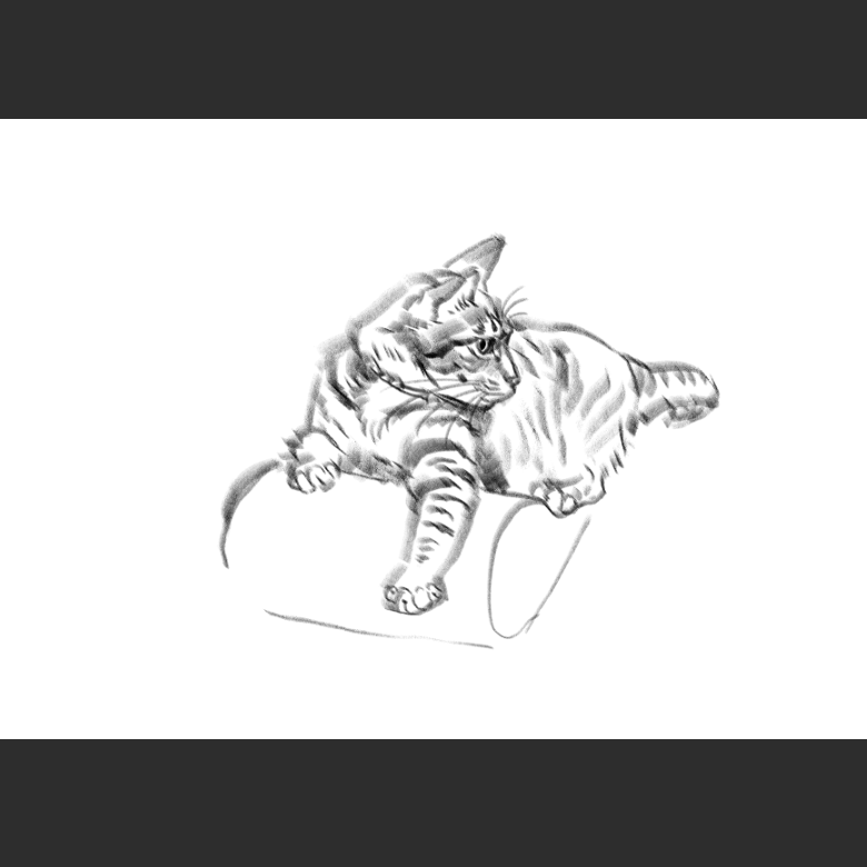 고양이) 우리집 고양이그림 보고가셈_6.png