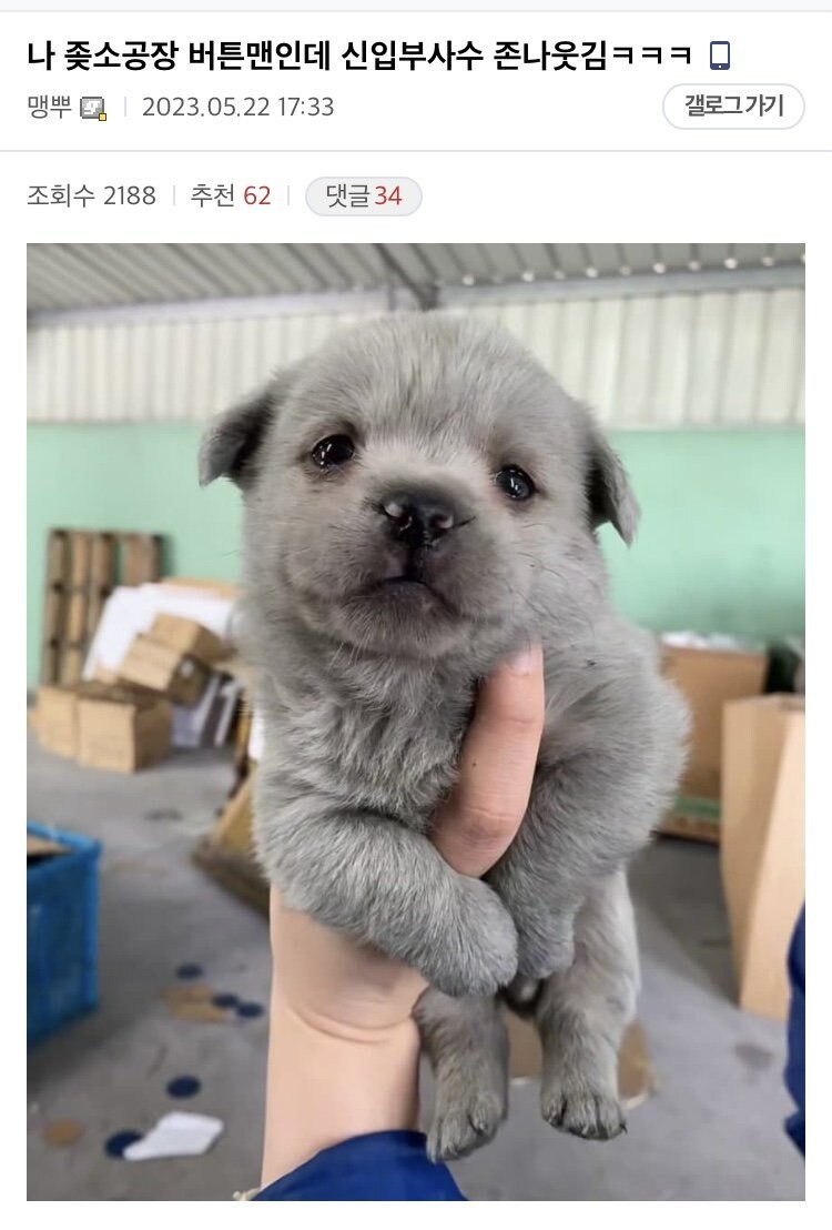 중소기업 생산직 S급 부사수 ㄷㄷ_1.jpg