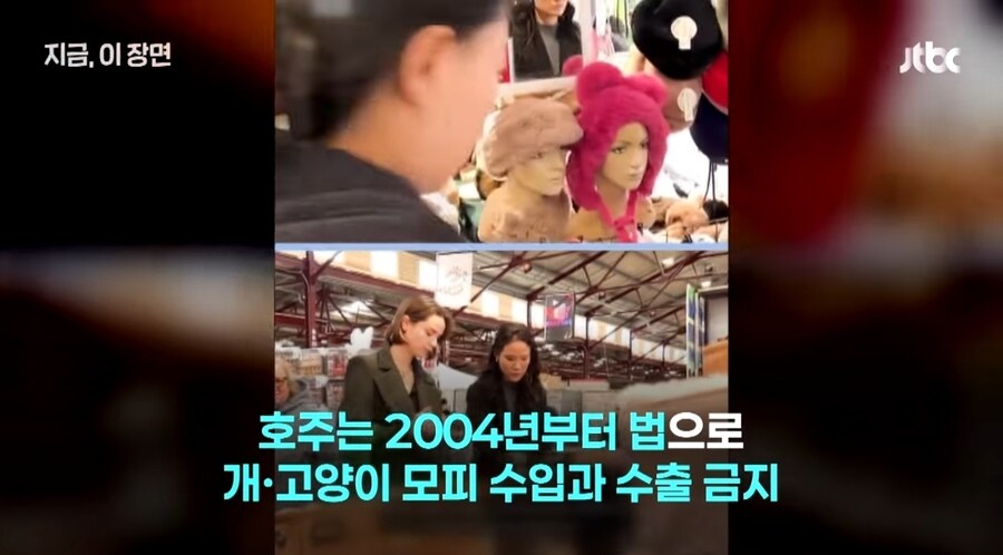 양털이라고 했는데, 고양이? 호주 '발칵' 뒤집은 아동의류_5.jpg