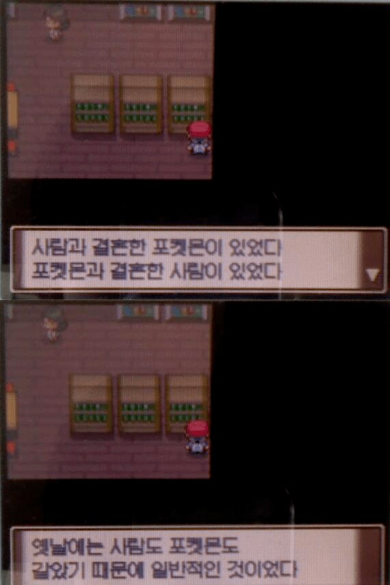 사람과 결혼한 포켓몬이 있었다_1.png