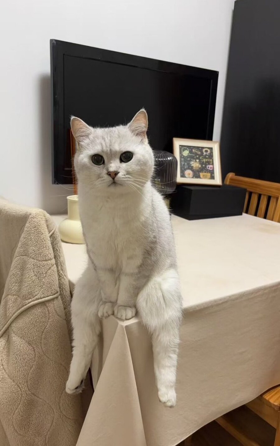 네가 유게이쿤?_1.jpg