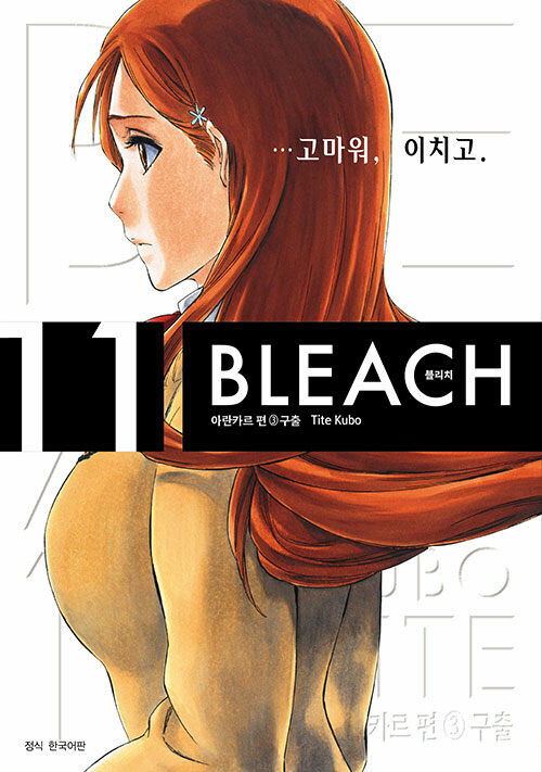블리치 리믹스 11권_1.jpg