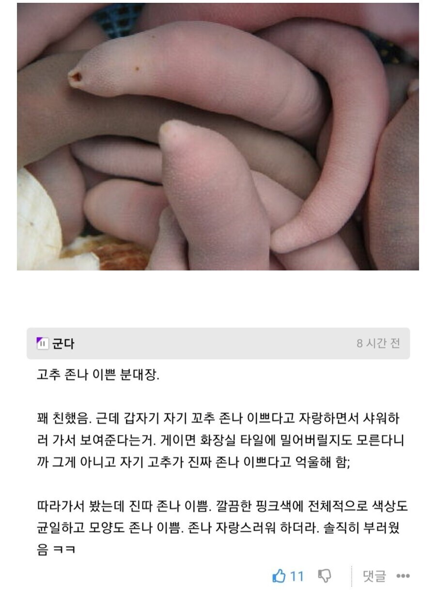 존나 예쁜 꼬츄글을 본 디시인사이드 유저 댓글.jpg_1.jpg