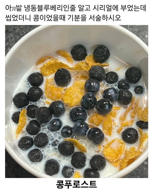 냉동 블루베리인줄 알고 시리얼에 부었는데_1.jpg