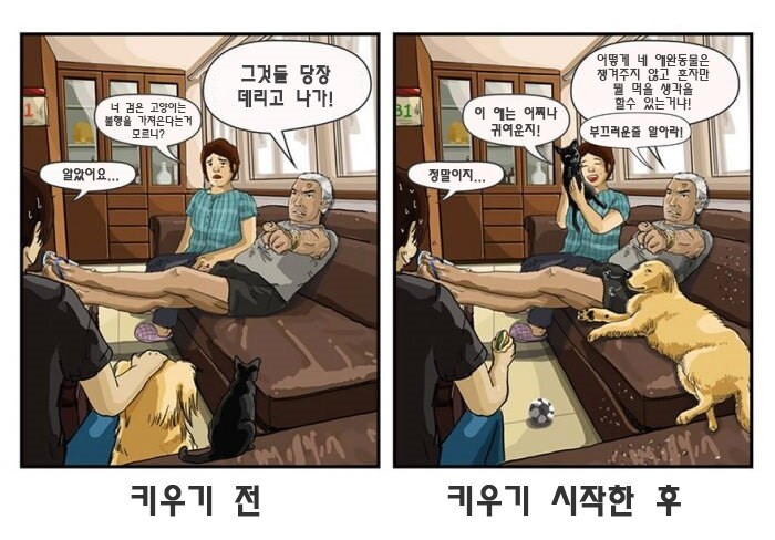 너무 만화하고 비슷한 장면을 찍은 것 같음_1.png