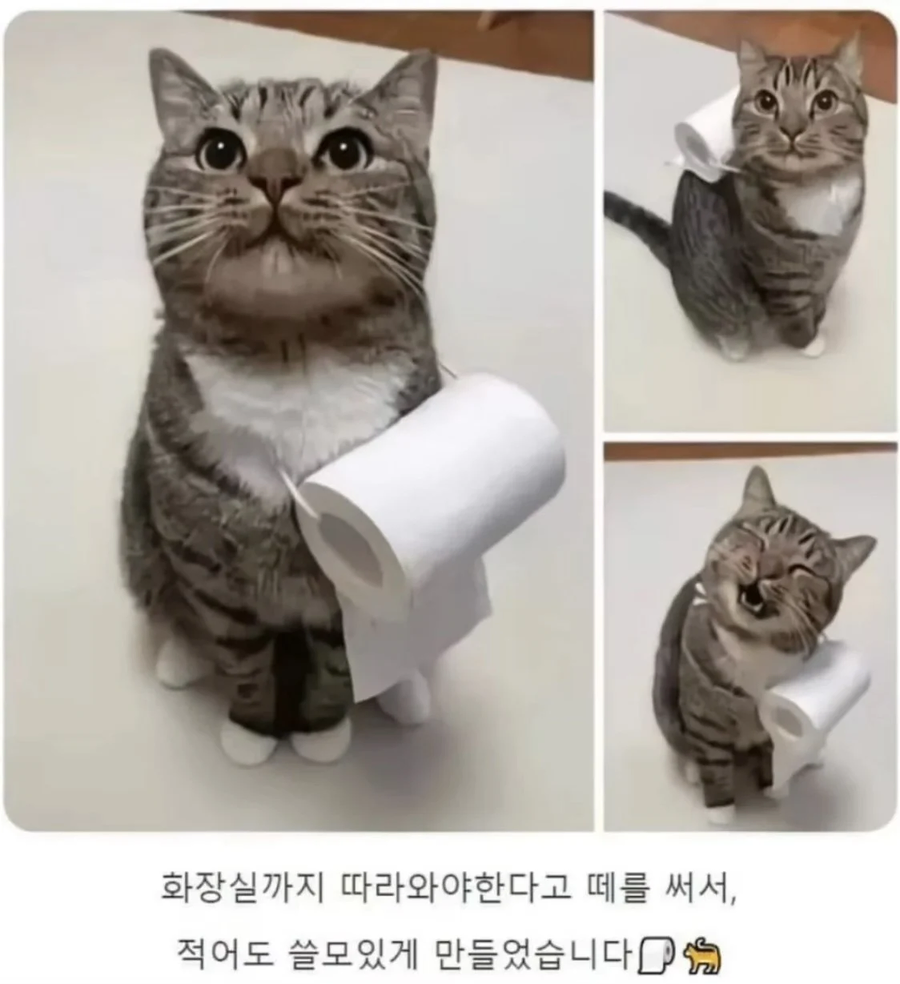 제법 쓸모있게 된 고양이들.gif_1.webp