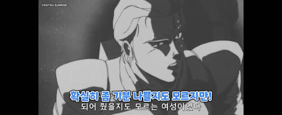 버튜버) 샤아 팬도 커버하지 못하는 그것_2.jpg