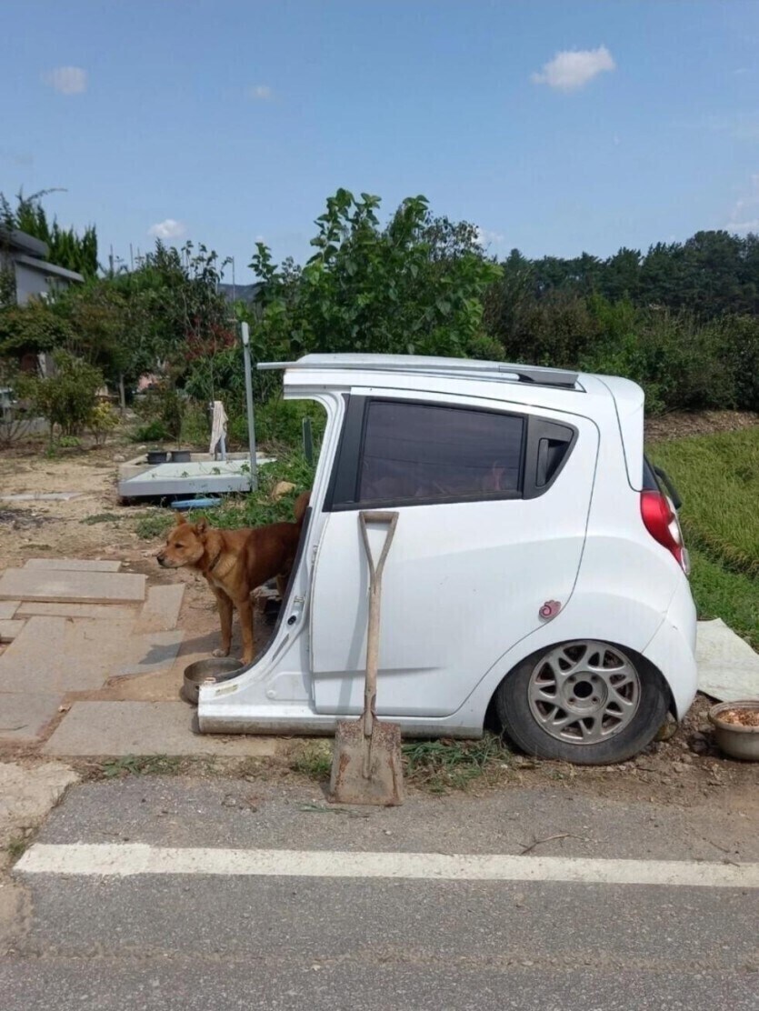 스파크의 시골 생활.jpg_2.jpg