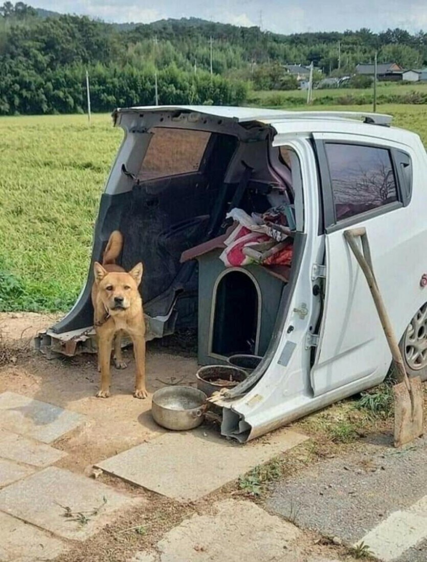 스파크의 시골 생활.jpg_3.jpg