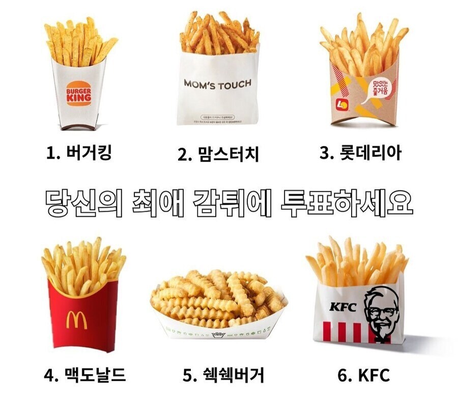 호불호 갈리는 감자튀김 취향.jpg_1.jpg