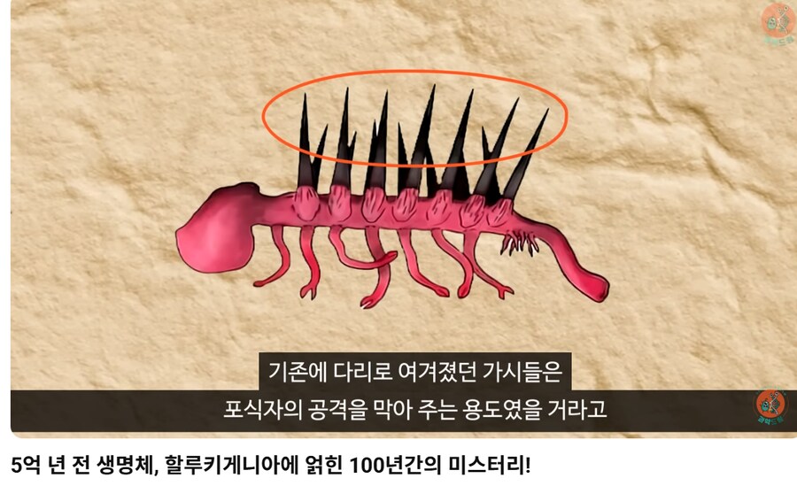 5억 년 전 생명체 할루키게니아 관련 베스트 댓글.jpg_1.png
