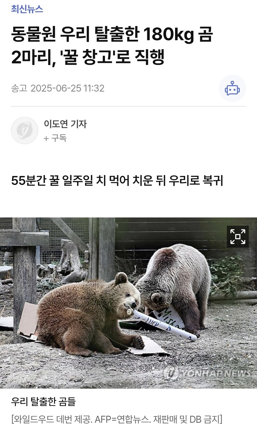 우리 밖으로 탈출한 180kg 불곰 두마리의 만행_1.jpg