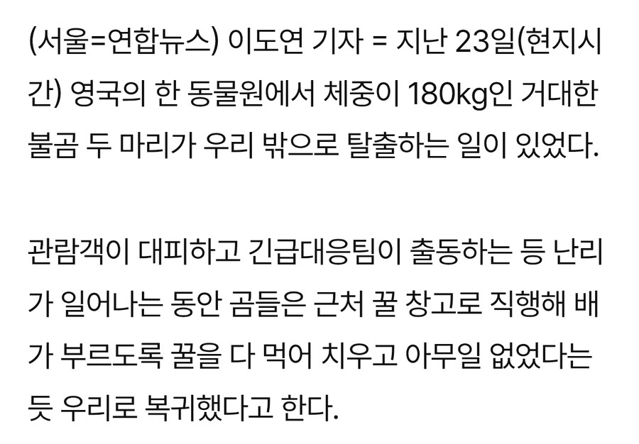 우리 밖으로 탈출한 180kg 불곰 두마리의 만행_2.jpg
