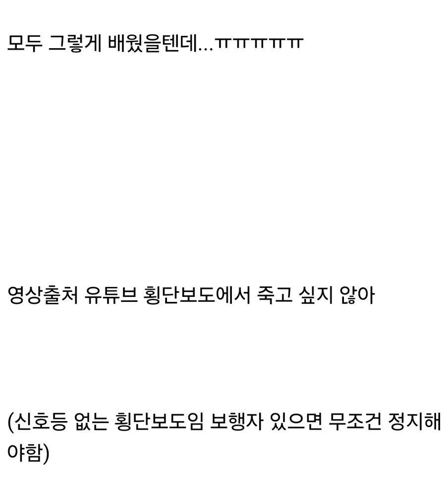 횡단보도에서 손을 들면 차들이 멈출거라고 안 아이들.mp4_1.jpg