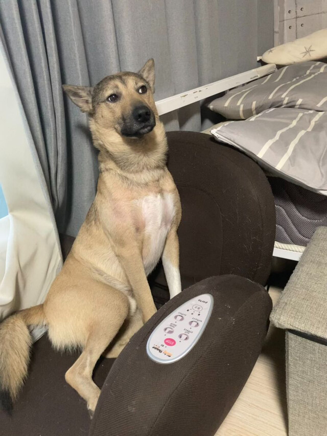 방구 한알 뀌었어요_1.jpg