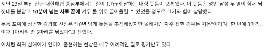 돗돔 근황.jpg_2.png