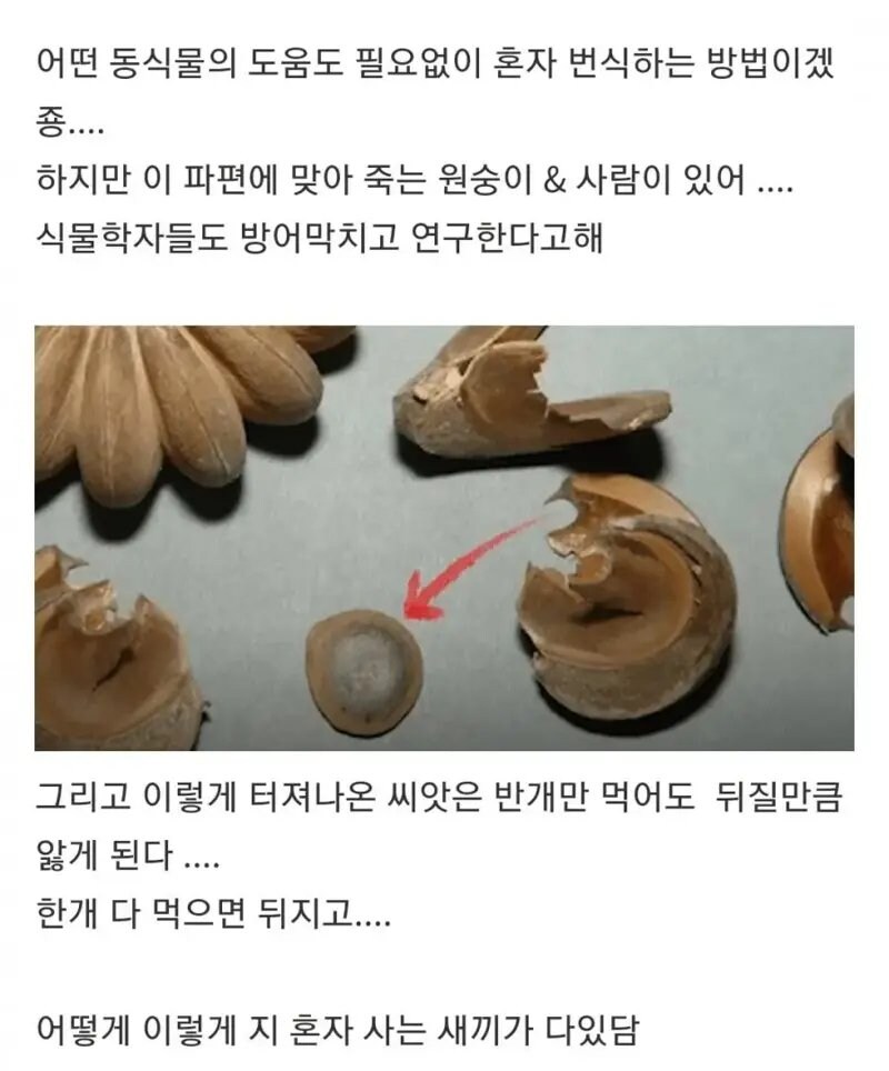 아낌없이 다 죽여주는 나무.jpg_2.png