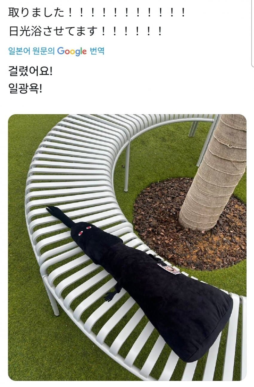 원피스)자기가 인기가 좋은것에 기분이 좋은 캐릭터_10.jpg