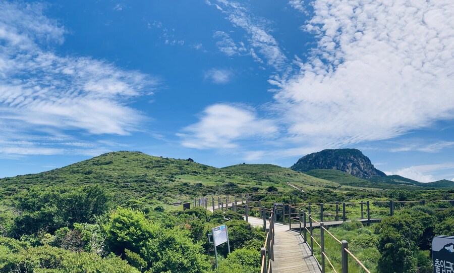 오늘 한라산 다녀왔어!_3.jpg