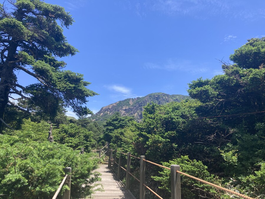 오늘 한라산 다녀왔어!_4.jpg